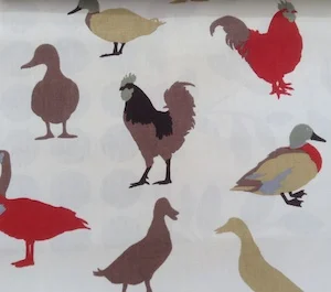 birds