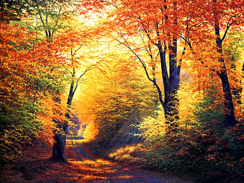 Autumn Lane in sunshine