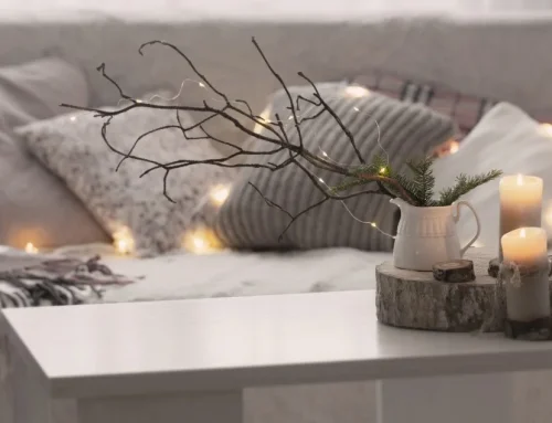 Lets get cosy this winter Jan-Feb Newsletter 2023