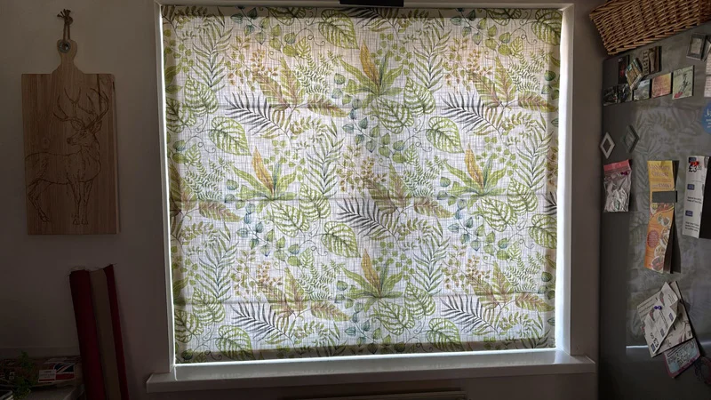 Linzell Roman Blind 1