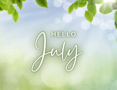 Summer Interiors and New ILIV Fabric Collections