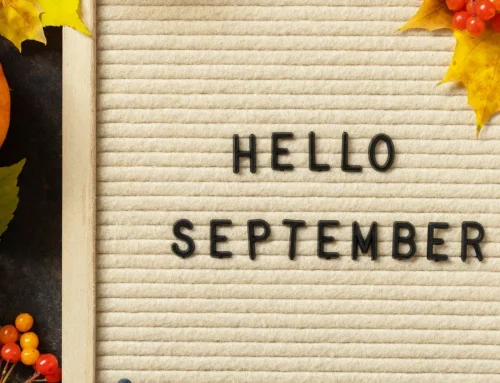 Autumn Soft Furnishing Ideas and September Inspiration
